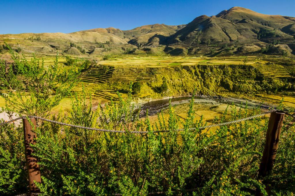 Eco Inn Colca Yanque Exteriér fotografie