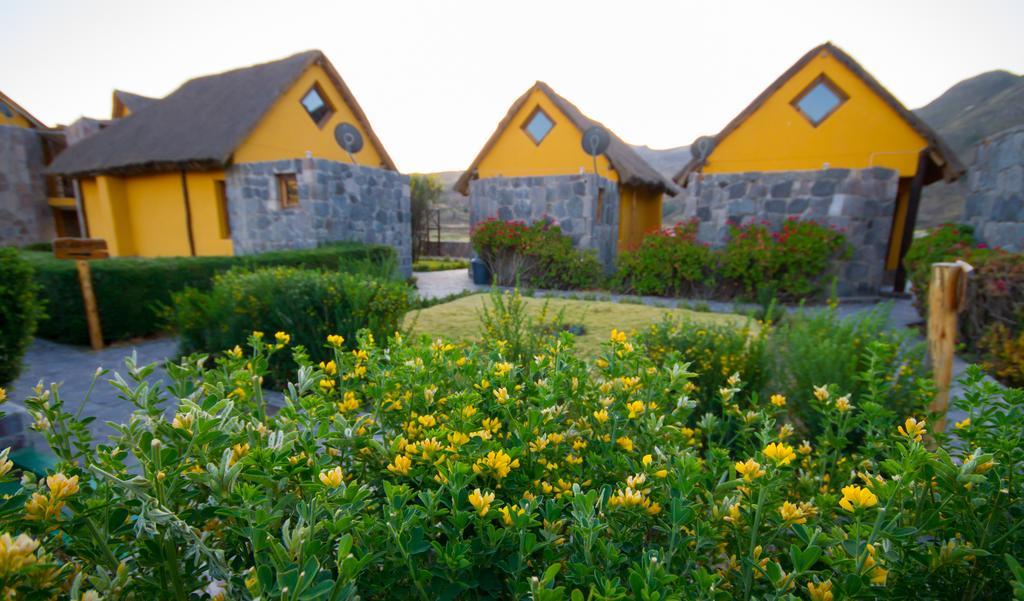 Eco Inn Colca Yanque Exteriér fotografie