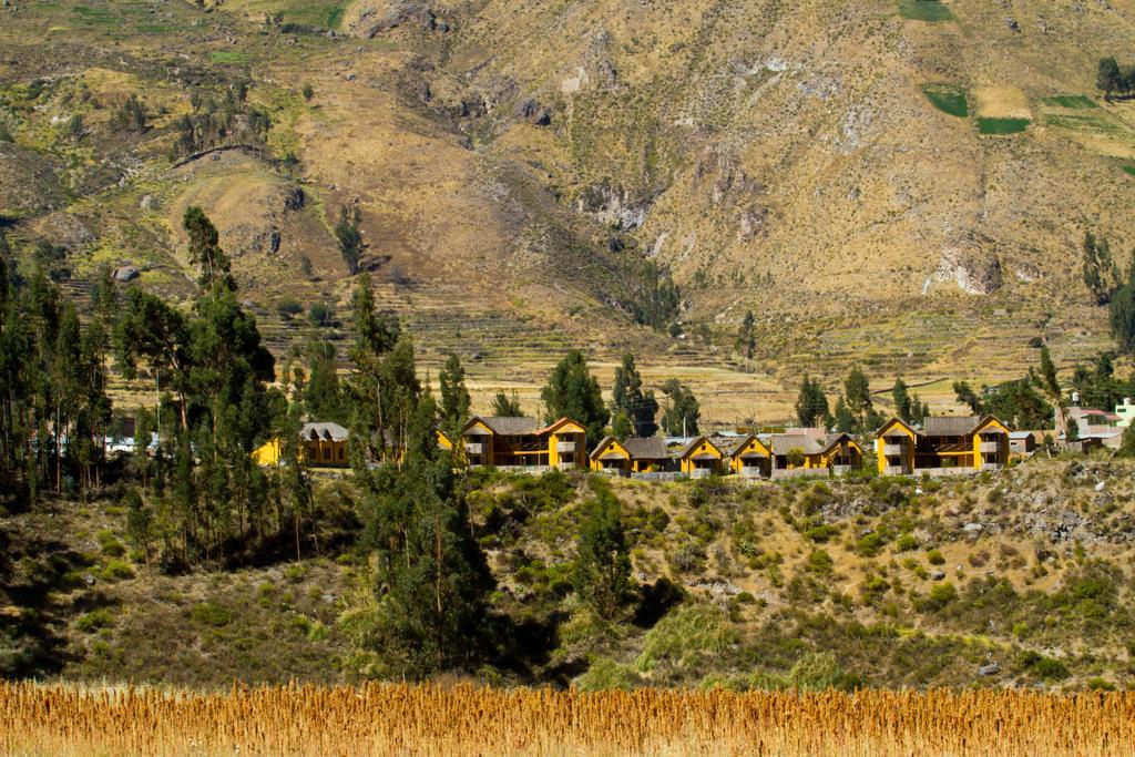 Eco Inn Colca Yanque Exteriér fotografie