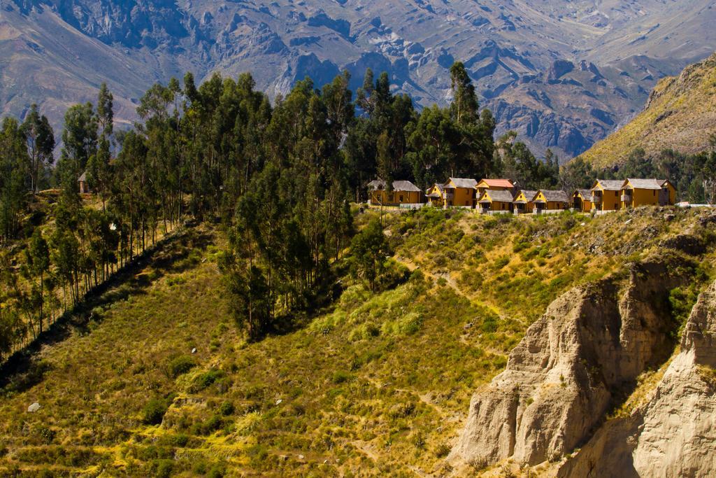 Eco Inn Colca Yanque Exteriér fotografie